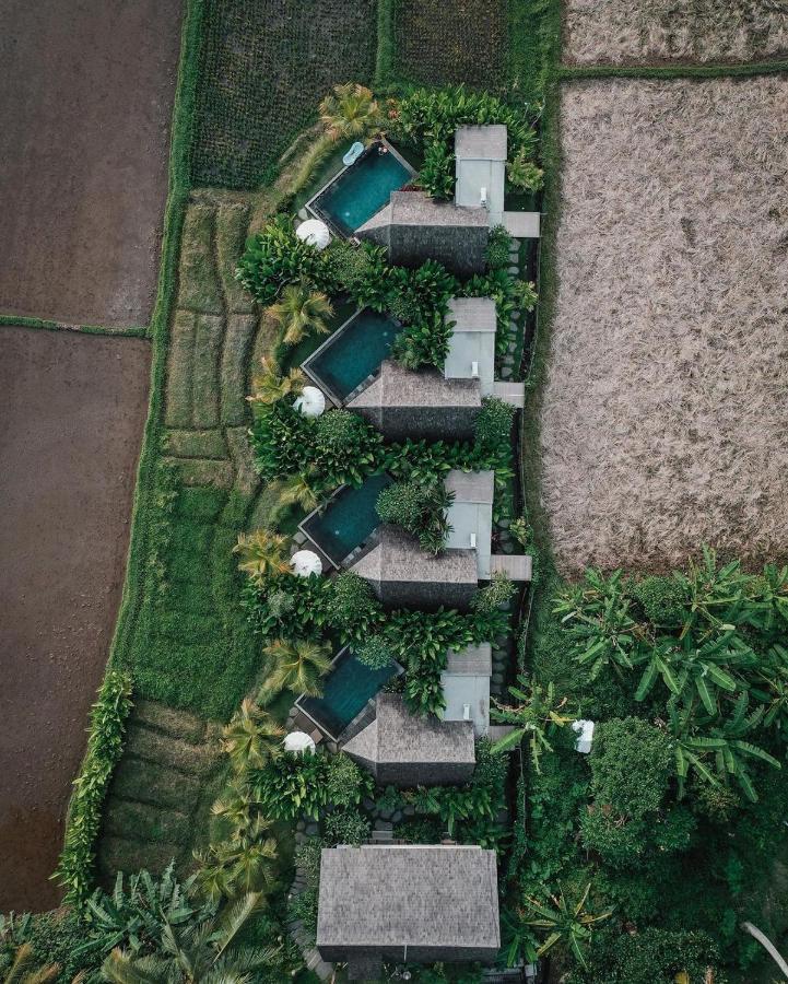 Lasamana Villas Ubud By Pramana Villas Exterior foto
