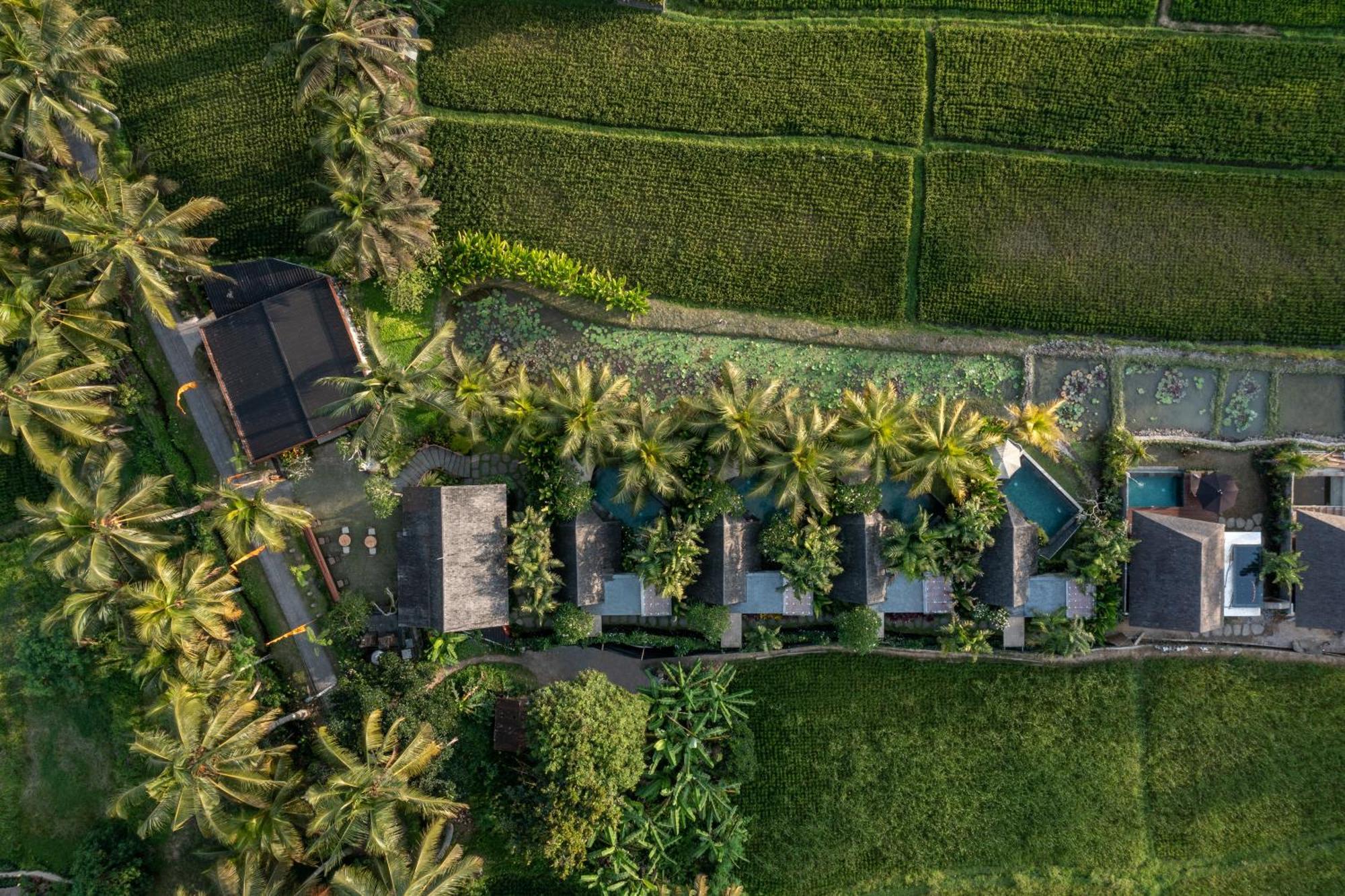 Lasamana Villas Ubud By Pramana Villas Exterior foto